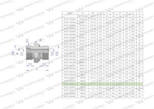 Przyłączka hydrauliczna BB (XGE) M36x2 28L2 28L x 3/4" BSP ED Waryński ( sprzedawane po 2 )-170168