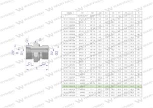 Przyłączka hydrauliczna BB (XGE) M36x2 28L2 28L x 1" BSP ED Waryński ( sprzedawane po 2 )-170174