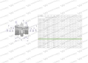 Złączka hydrauliczna redukcyjna metryczna BB M30x2 22L / M22x1.5 15L (XG) Waryński-170552