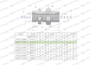 Złączka hydrauliczna metryczna grodziowa BB M14x1.5 08L z przeciwnakrętką (XSV) Waryński ( sprzedawane po 2 )-168663