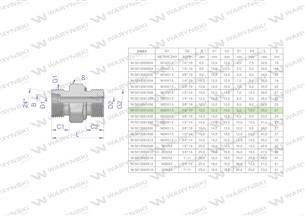 Przyłączka hydrauliczna (odmiana ciężka XGE) BB M20x1.5 12S x 1/2" BSP ED Waryński ( sprzedawane po 5 )-170246