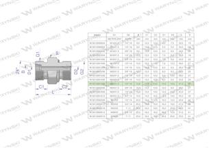 Przyłączka hydrauliczna (odmiana ciężka XGE) BB M22x1.5 14S x 1/2" BSP ED Waryński ( sprzedawane po 5 )-170256