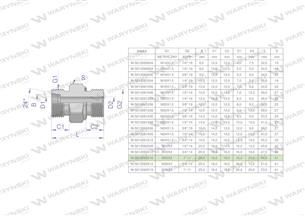 Przyłączka hydrauliczna (odmiana ciężka XGE) BB M30x2 20S x 1" BSP ED Waryński ( sprzedawane po 2 )-170291