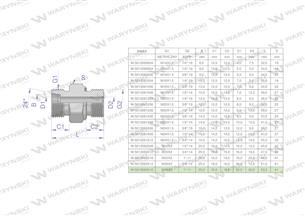 Przyłączka hydrauliczna (odmiana ciężka XGE) BB M36x2 25S x 1" BSP ED Waryński ( sprzedawane po 2 )-170302