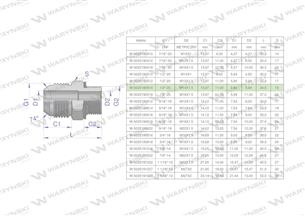Przyłączka hydrauliczna BB 1/2"UNF (JIC) x M14x1.5 (XGE) Waryński ( sprzedawane po 2 )-170337