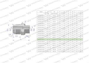 Przyłączka hydrauliczna BB 3/4"UNF (JIC) x M16x1.5 (XGE) Waryński ( sprzedawane po 2 )-170378