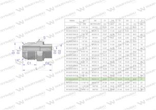 Przyłączka hydrauliczna BB 7/8"UNF (JIC) x M22x1.5 (XGE) Waryński ( sprzedawane po 2 )-170395