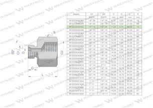 Tulejka różnicowa hydrauliczna calowa AB 1/4"GZ x 1/8"GW BSP Waryński ( sprzedawane po 2 )-169209