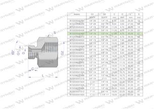 Tulejka różnicowa hydrauliczna calowa AB 1/4"GZ x 1/2"GW BSP Waryński ( sprzedawane po 2 )-169221