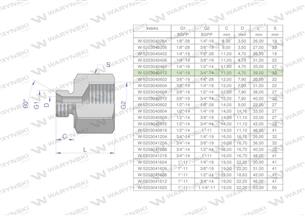 Tulejka różnicowa hydrauliczna calowa AB 1/4"GZ x 3/4"GW BSP Waryński ( sprzedawane po 2 )-169227