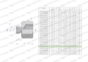 Tulejka różnicowa hydrauliczna calowa AB 1"GZ x 1/4"GW BSP Waryński-169310