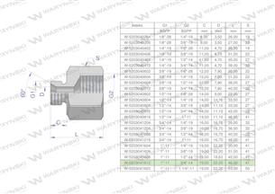 Tulejka różnicowa hydrauliczna calowa AB 1"GZ x 3/4"GW BSP Waryński-169328