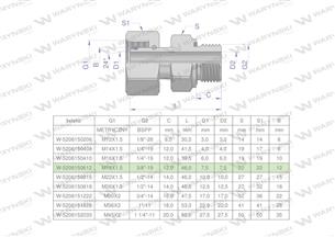 Przyłączka hydrauliczna AB (EVGE) M18x1.5 12L x 3/8" BSP ED Waryński ( sprzedawane po 2 )-168918