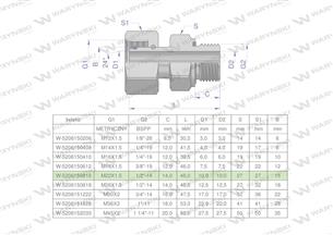 Przyłączka hydrauliczna AB (EVGE) M22x1.5 15L x 1/2" BSP ED Waryński ( sprzedawane po 2 )-168924