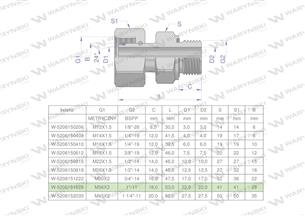 Przyłączka hydrauliczna AB (EVGE) M36x2 28L x 1" BSP ED Waryński-168942