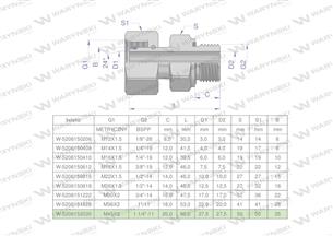 Przyłączka hydrauliczna AB (EVGE) M45x2 35L x 1 1/4" BSP ED Waryński-168948