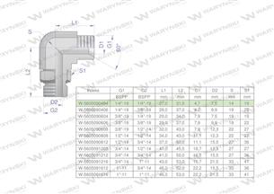Kolanko hydrauliczne nastawne calowe BB 1/4" x 1/4" BSP z regulacją Waryński-170957