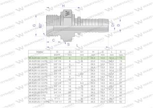 Zakucie hydrauliczne AGR DN06 1/4"-19 PREMIUM Waryński ( sprzedawane po 10 )