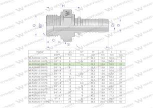 Zakucie hydrauliczne AGR DN06 3/8"-19 PREMIUM Waryński ( sprzedawane po 10 )