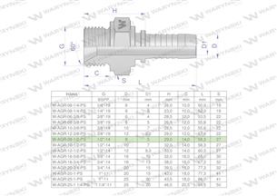 Zakucie hydrauliczne AGR DN08 1/2"-14 PREMIUM Waryński ( sprzedawane po 10 )