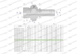 Zakucie hydrauliczne AGR DN10 1/2"-14 PREMIUM Waryński ( sprzedawane po 10 )