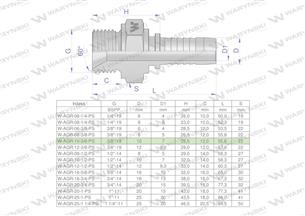 Zakucie hydrauliczne AGR DN10 3/8"-19 PREMIUM Waryński ( sprzedawane po 10 )