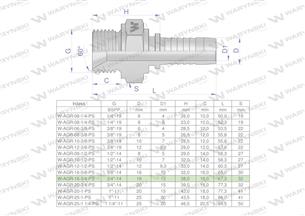 Zakucie hydrauliczne AGR DN16 3/4"-14 PREMIUM Waryński ( sprzedawane po 5 )