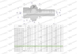Zakucie hydrauliczne AGR DN20 3/4"-14 PREMIUM Waryński ( sprzedawane po 5 )