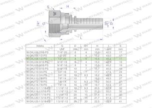 Zakucie hydrauliczne DKJ DN08 1/2"-20 UNF PREMIUM Waryński ( sprzedawane po 10 )