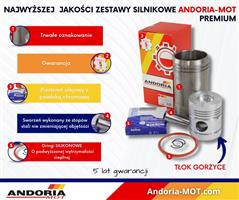 Zestaw naprawczy silnika PREMIUM GORZYCE 55110018 950116 C-360 ANDORIA - MOT