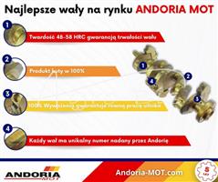 Wał korbowy 3132002K91 MF3 Azotowany ANDORIA - MOT-96100